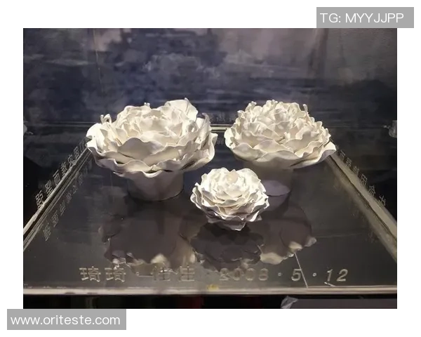 与刘敏畅谈滑板生涯的点滴与梦想探索之旅