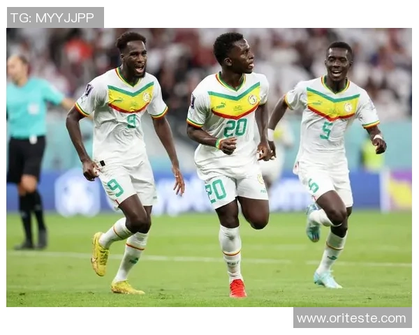 塞内加尔与尼日利亚激战在即谁将赢得非洲足球的荣耀之战