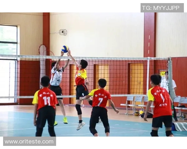 重庆排球队实力对比深度剖析与未来发展趋势探讨