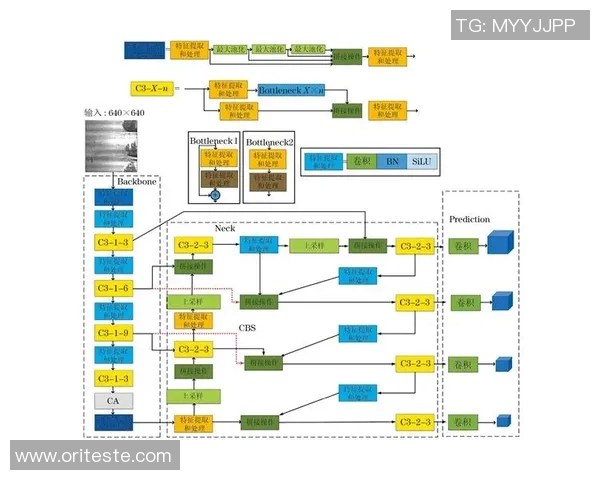 深入分析V5战队的区域防守策略与战术应用