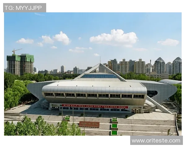 北京排球队的运营策略分析与发展前景探讨