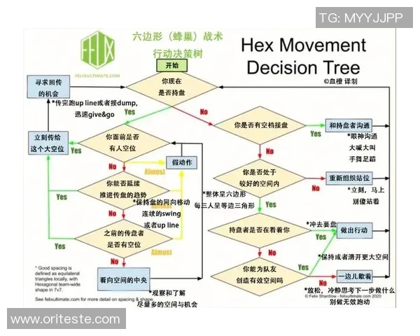 广州飞盘队进攻体系解析：飞盘战术的创新与应用探讨